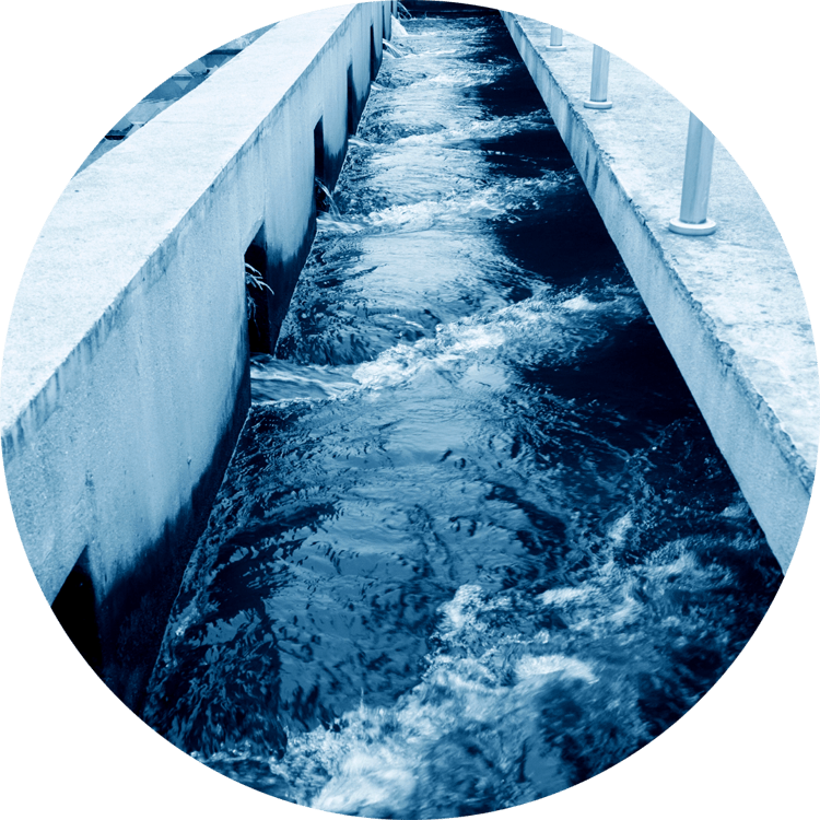 Wastewater Chemicals